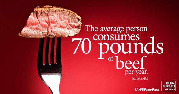 Beef fact