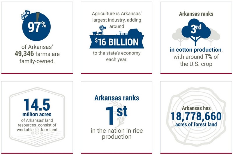 Ag Facts infographic