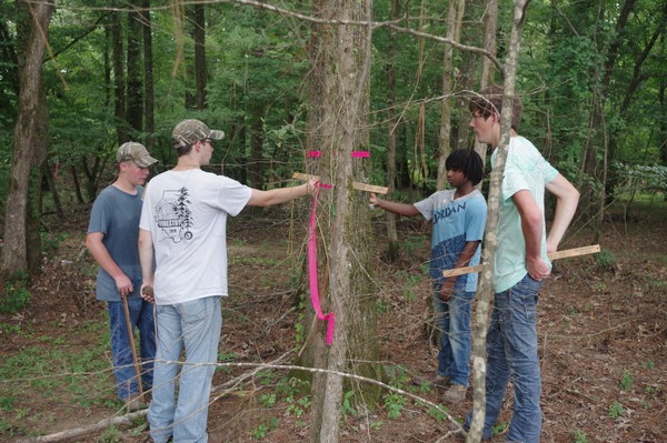 Forestry team practicing photo