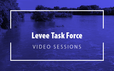 Levee Task Force Image