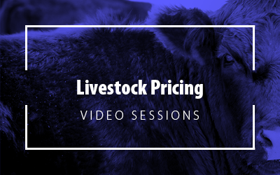 Livestock pricing