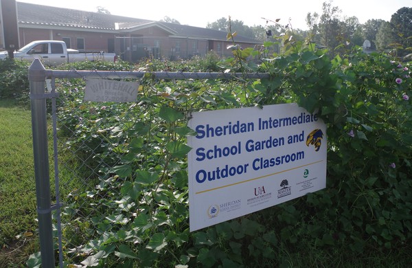Sheridan School Garden pic