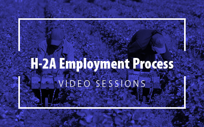 H2A Employment image