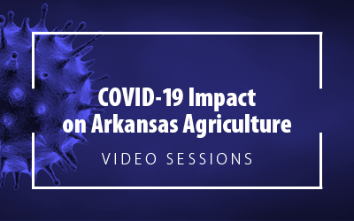 COVID impact video image