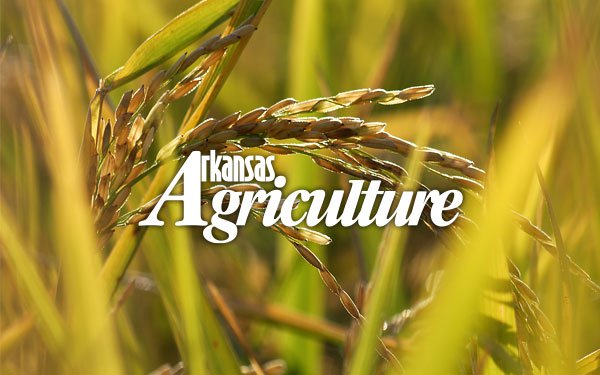 Arkansas Agriculture News