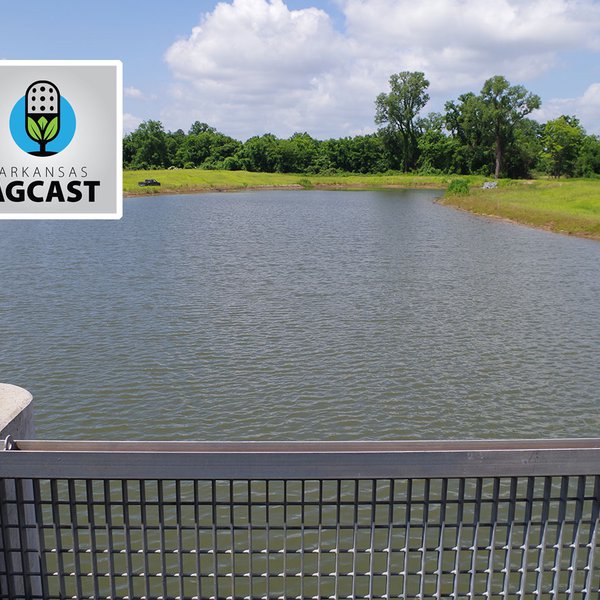 AgCast for Feb. 13