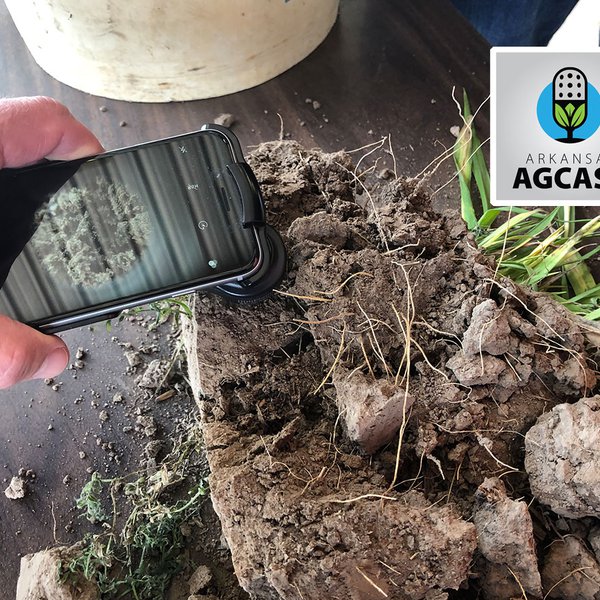 AgCast for Feb. 27