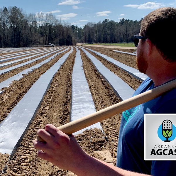 Arkansas AgCast | March 11, 2021
