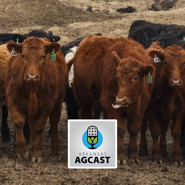AgCast for March 26th
