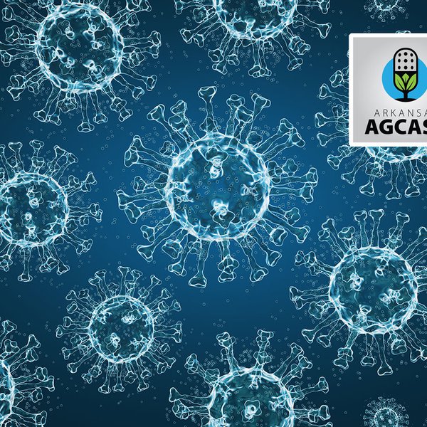 AgCast for April 2