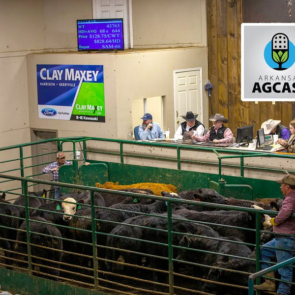 AgCast for April 23