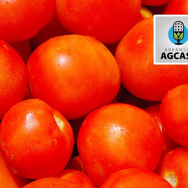 AgCast for April 30
