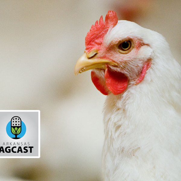 AgCast for May 14