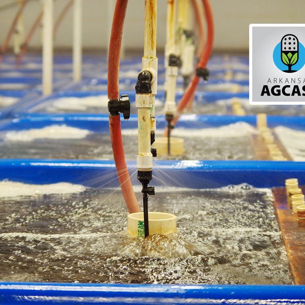AgCast for May 21