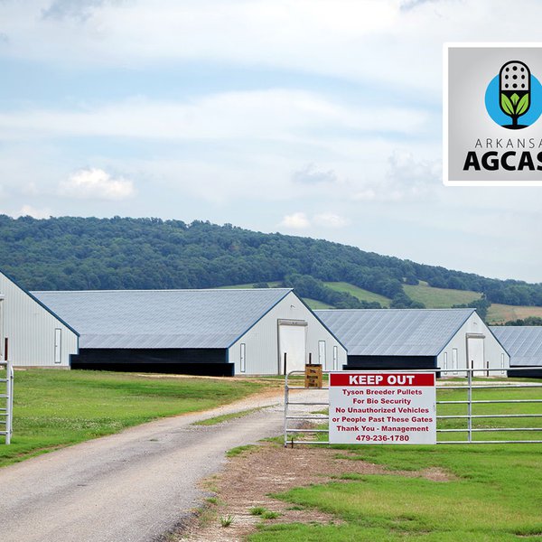 AgCast for May 28