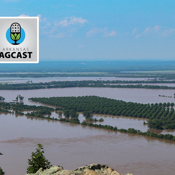 AgCast for June 4