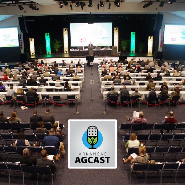 AgCast for Nov. 14