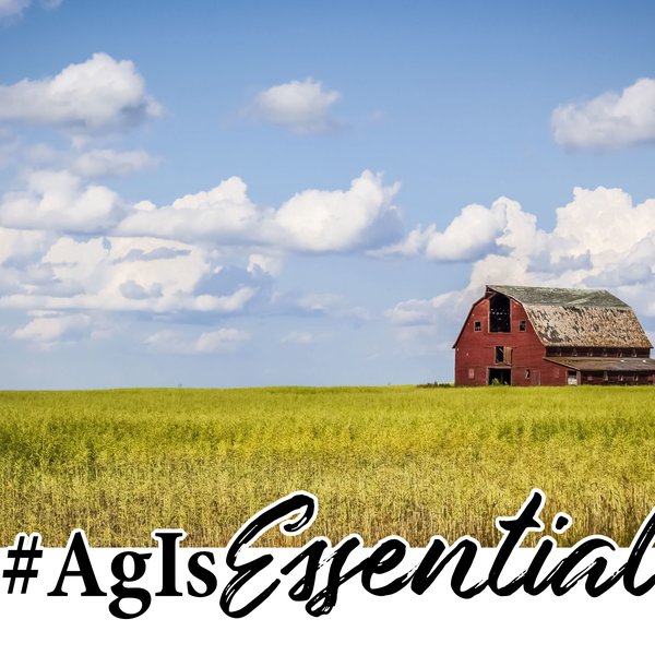 #AgisEssential: Updates from Arkansas Farmers, Ranchers & Ag Businesses