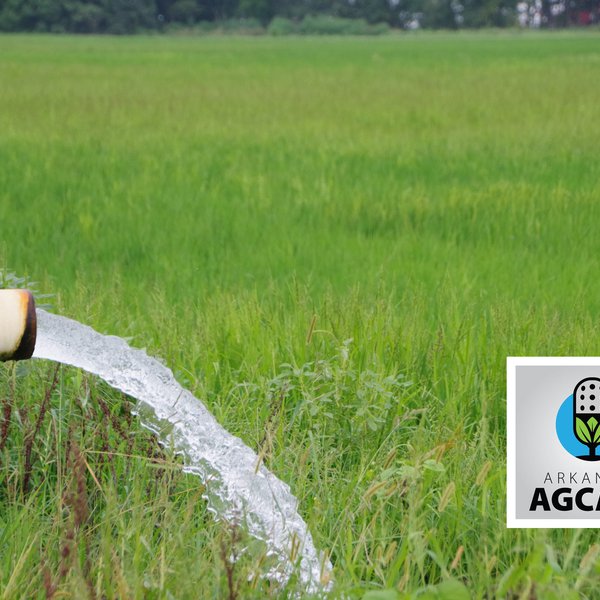 AgCast for Jan. 30