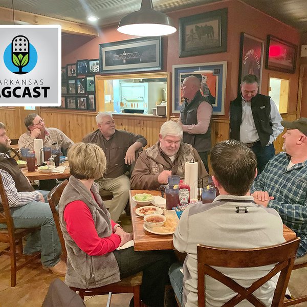 AgCast for Dec. 19