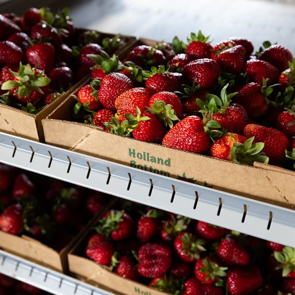 Market Briefs | March 20, 2026