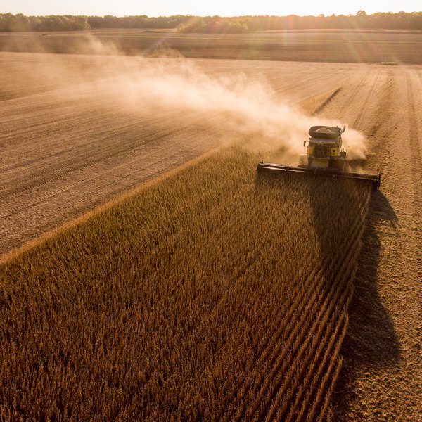 Market Briefs | September 17, 2025