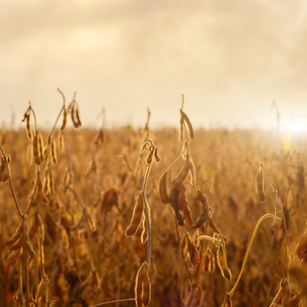 Market Briefs | September 4, 2026
