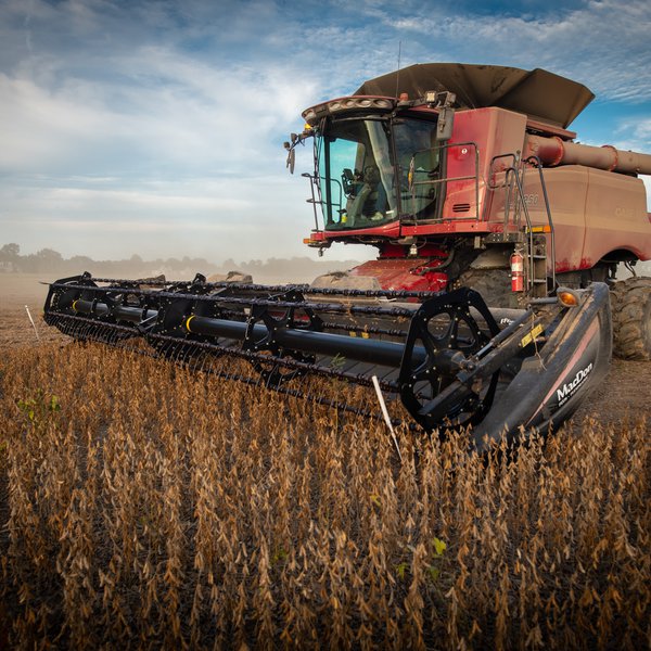 Market Briefs | November 12, 2025