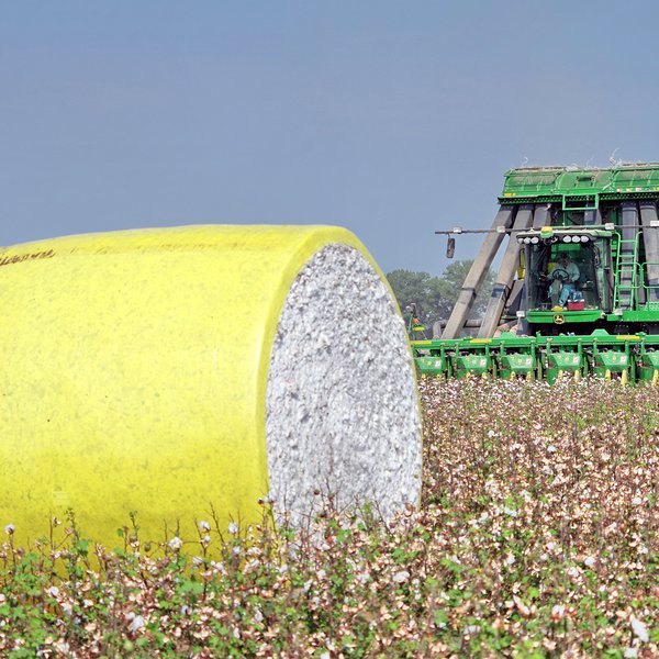 Market Briefs for March 20, 2020