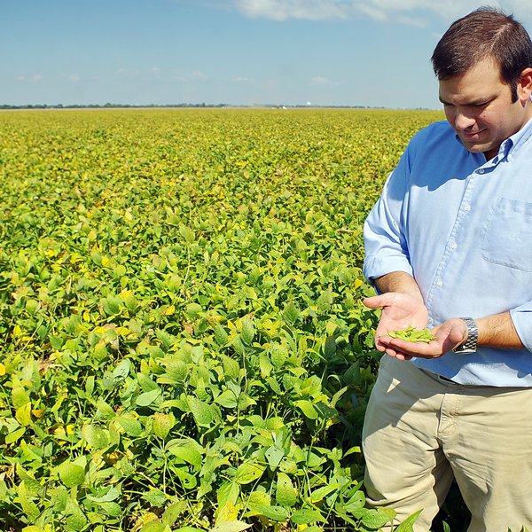 AGCAST: Soybean Struggles