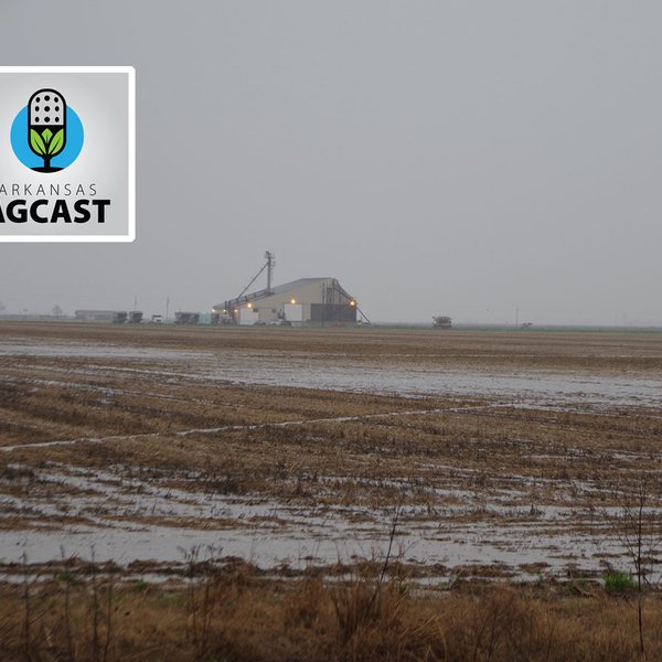 AgCast for Feb. 20