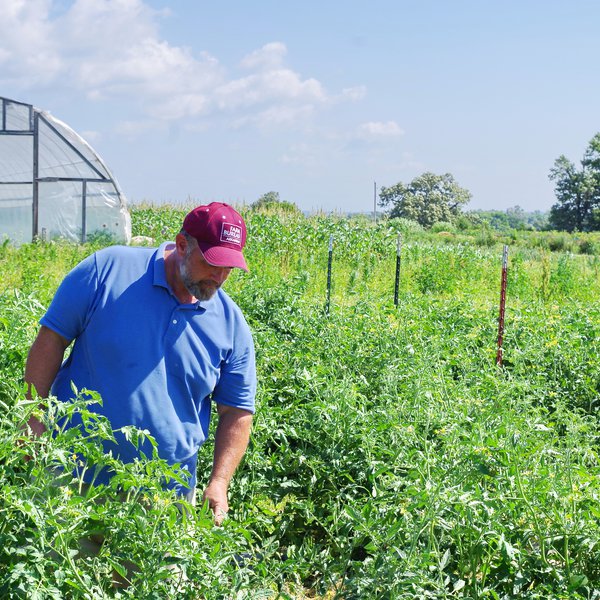 One Small Farm's Success Strategy