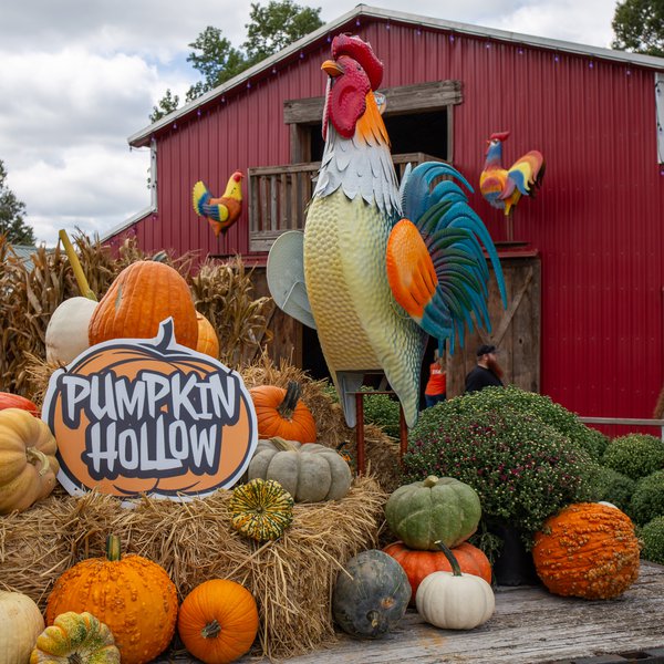 Pumpkin Patch Worth the Drive