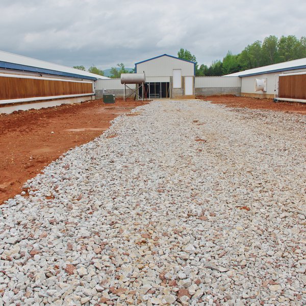 Update on C&H Hog Farm