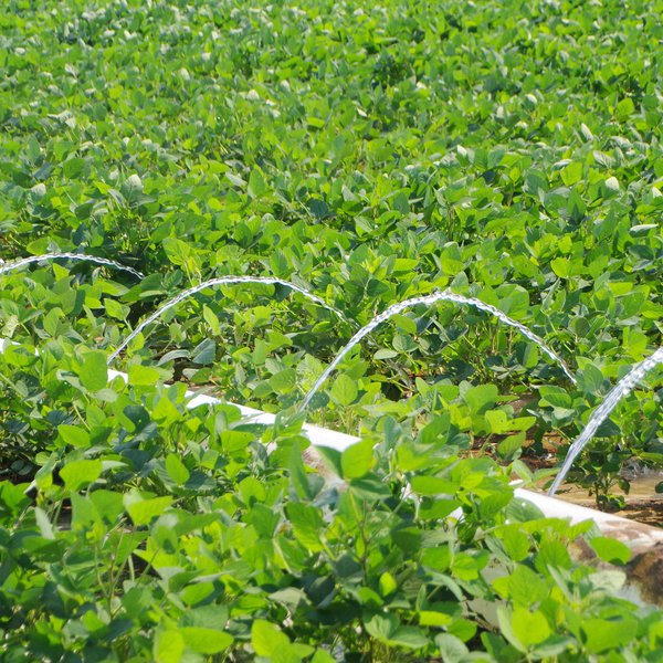 Market Briefs for May 15