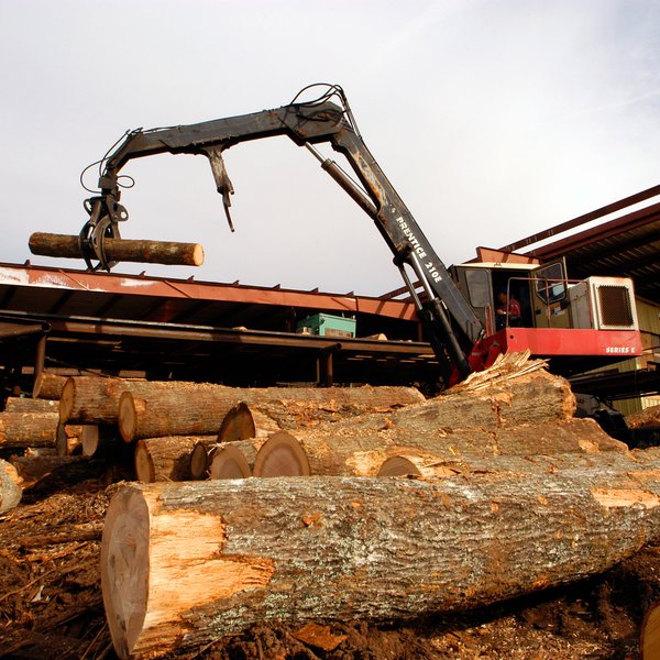 AGCAST: The Weather Impact on Timber