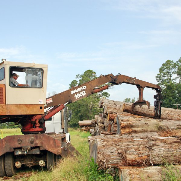 PODCAST: Timber Marketing for Private Landowners