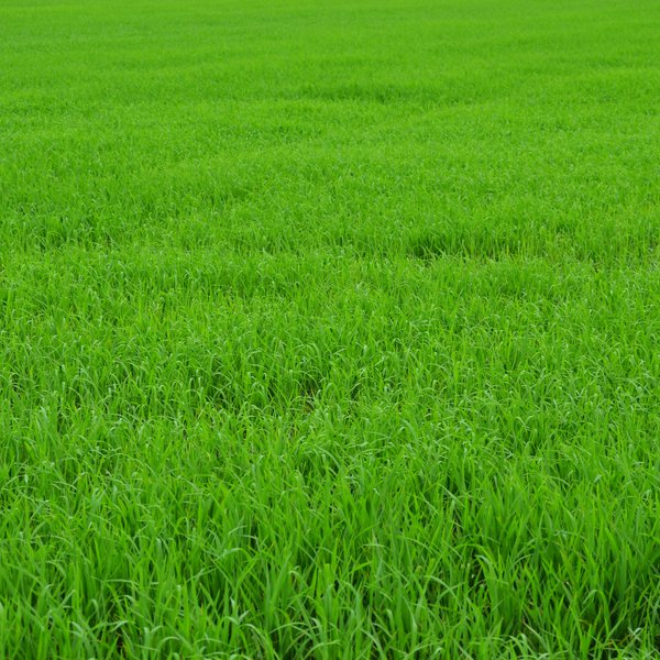 Market Briefs for September 6, 2018
