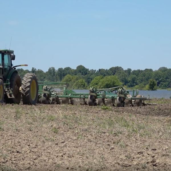 Market Briefs for July 19, 2019