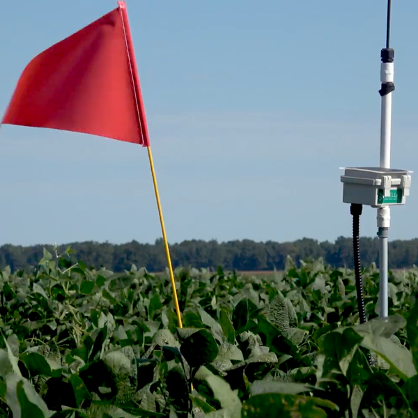 Soil Moisture Sensors Save Water, Money