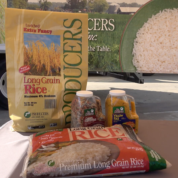 Rice Month Food Donation