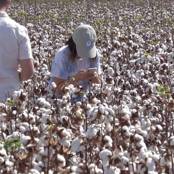 Cotton Industry Reps Visit Farm