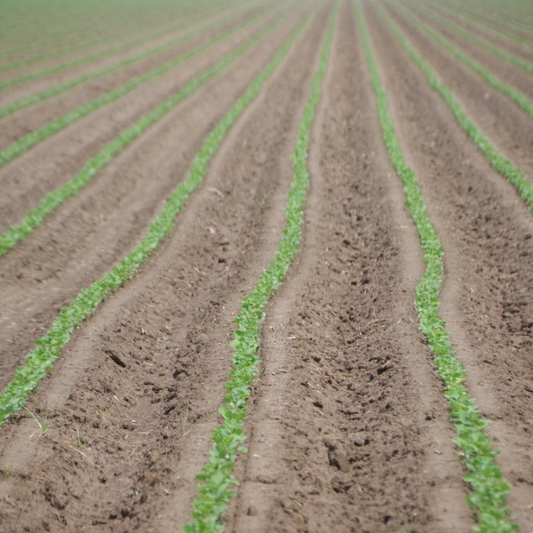 Market Briefs for April 30