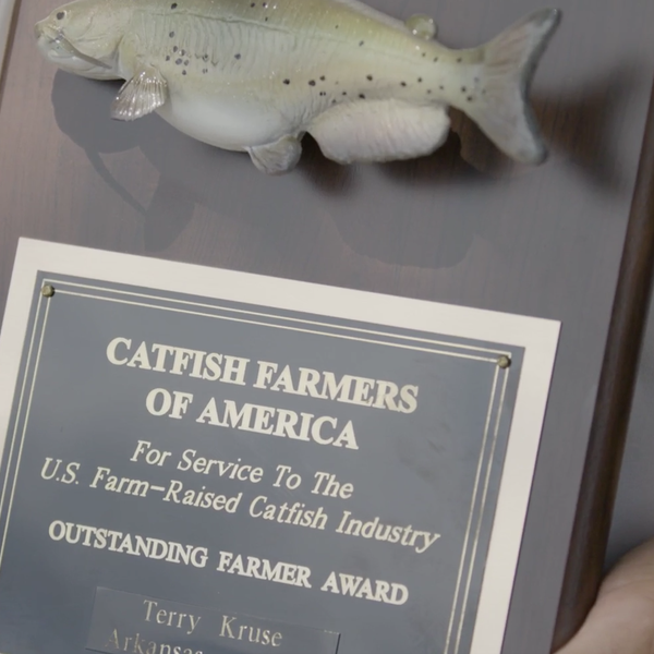 Talking to Terry Kruse, 2020 Ark. Catfish Farmer of the Year