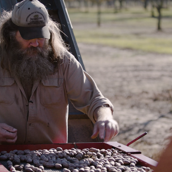 A History of Pecans with Billy Wilchman
