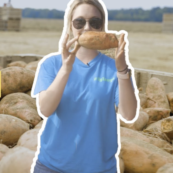Filthy Farm Jobs | Ep. 3, Sweet Potato Lessons with Lindsey