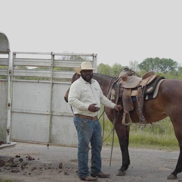 Ask a Farmer, Ep. 5 | Cattle Questions