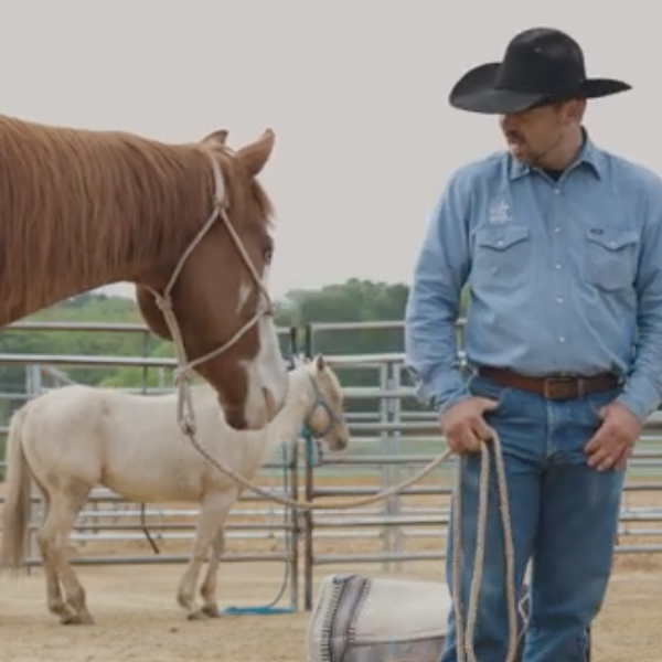 Passing it On | Colt Starting with Top Hand Clinics