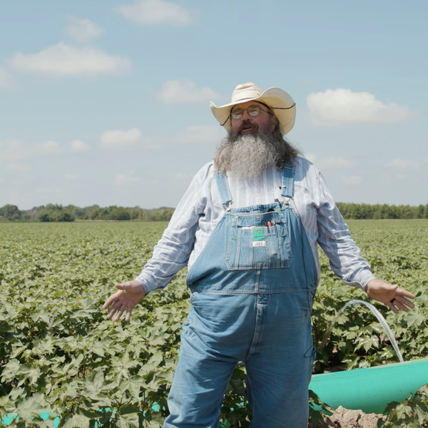 2022 Cotton Update with Bill Robertson