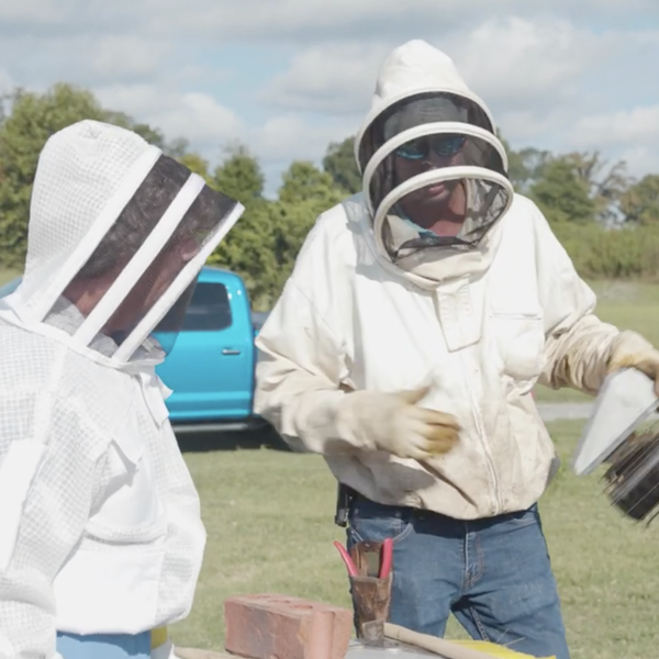 Filthy Farm Jobs | Brave Braves Bees